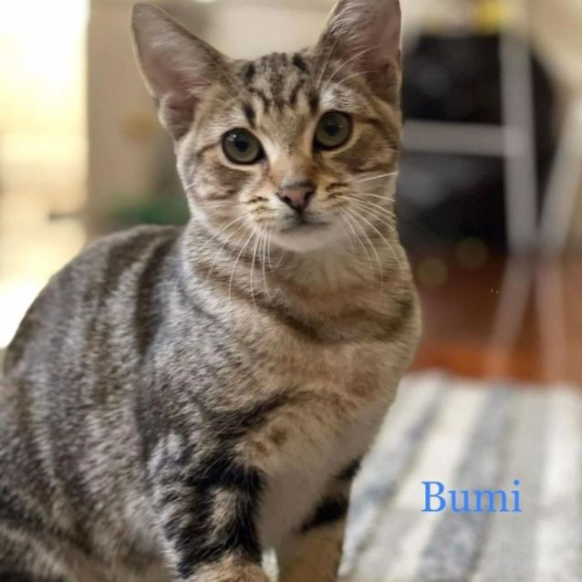 Photo of Bumi And Tenzin