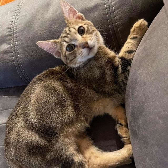 Photo of Bumi And Tenzin