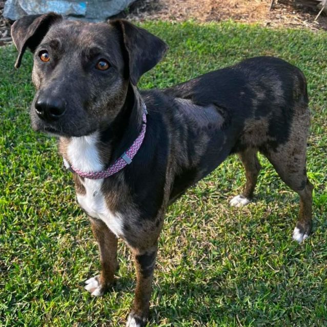 Photo of Barbie Girl