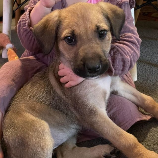 Photo of Willow