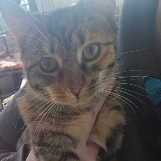 Photo of Luna And Lola