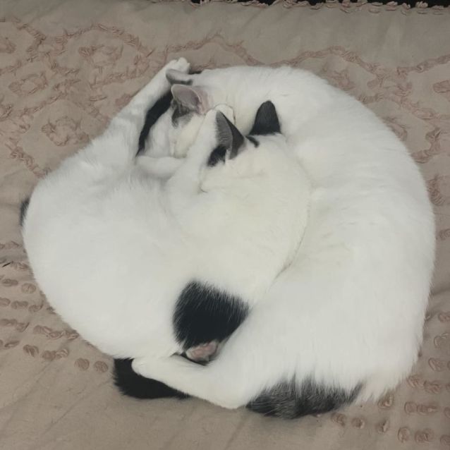 Photo of 💜 Calvin 💜