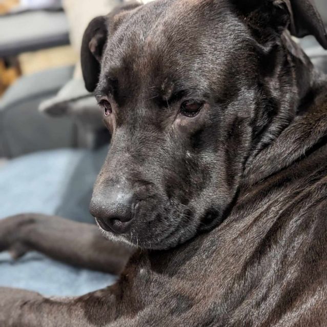 Photo of Penny 