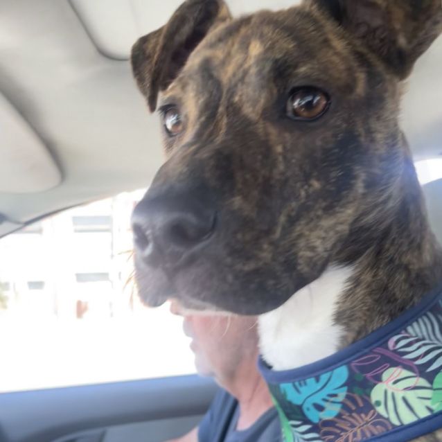 Photo of Gus