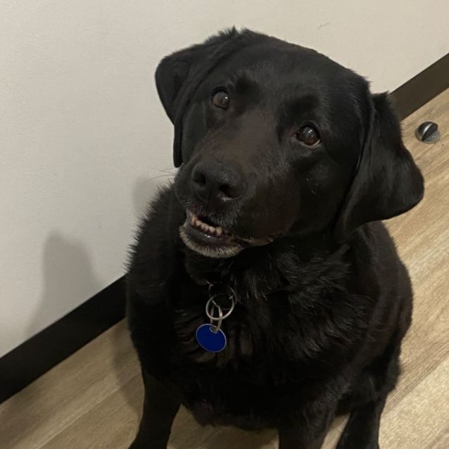 Photo of Bonnie
