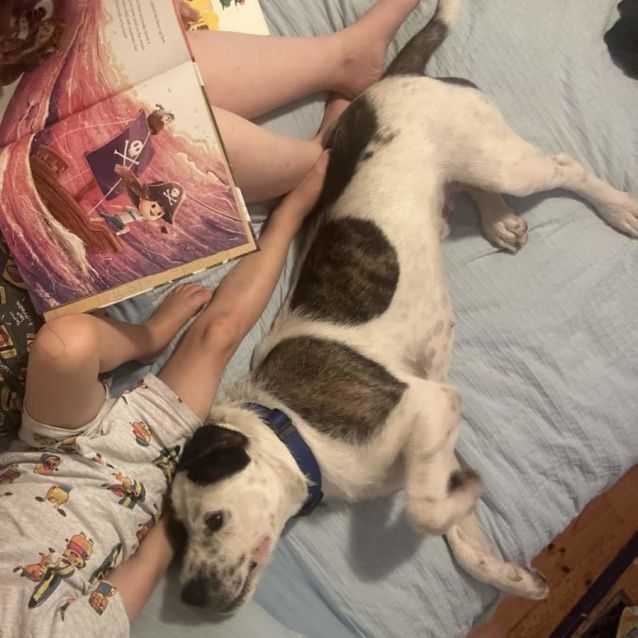 Photo of Vincent Crabbe