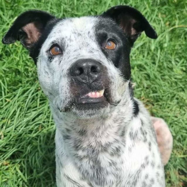 Photo of Draco Malfoy