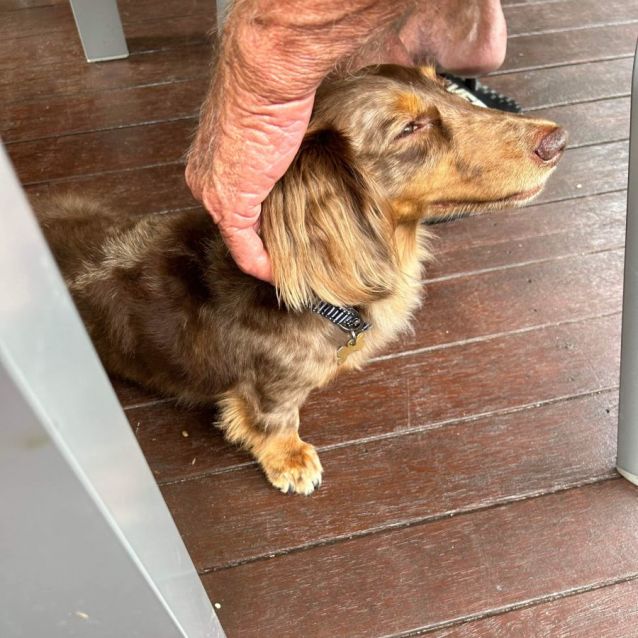 Photo of Miss Frankie