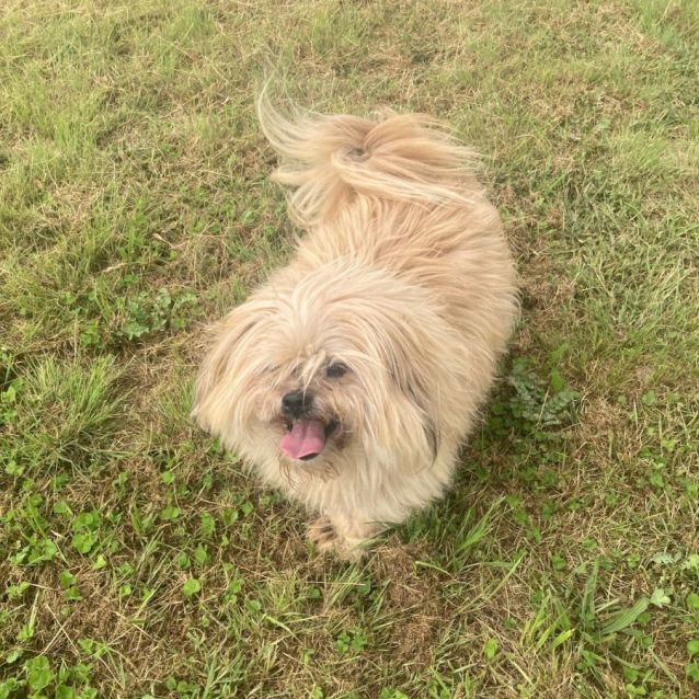 Photo of Teddy