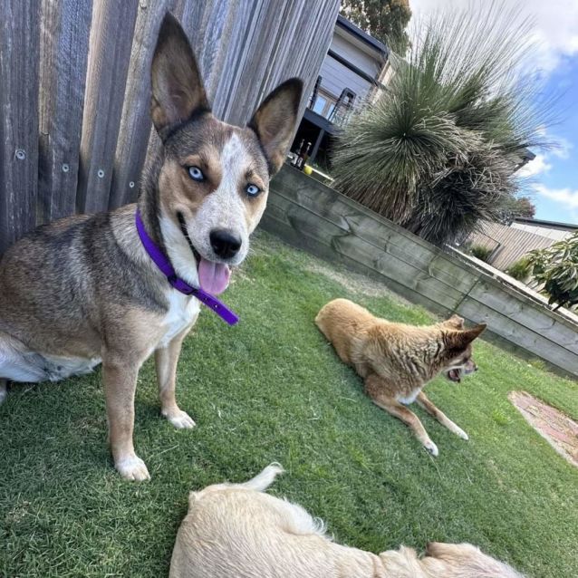 Photo of Nymphadora Tonks 