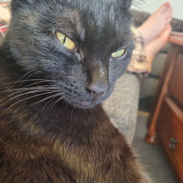 Photo of Arlo   Located In Preston