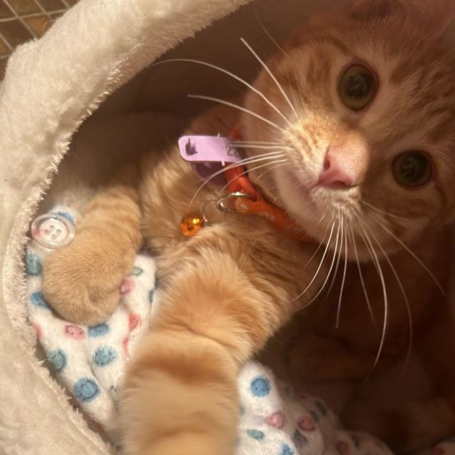 Photo of Clayton 🍊