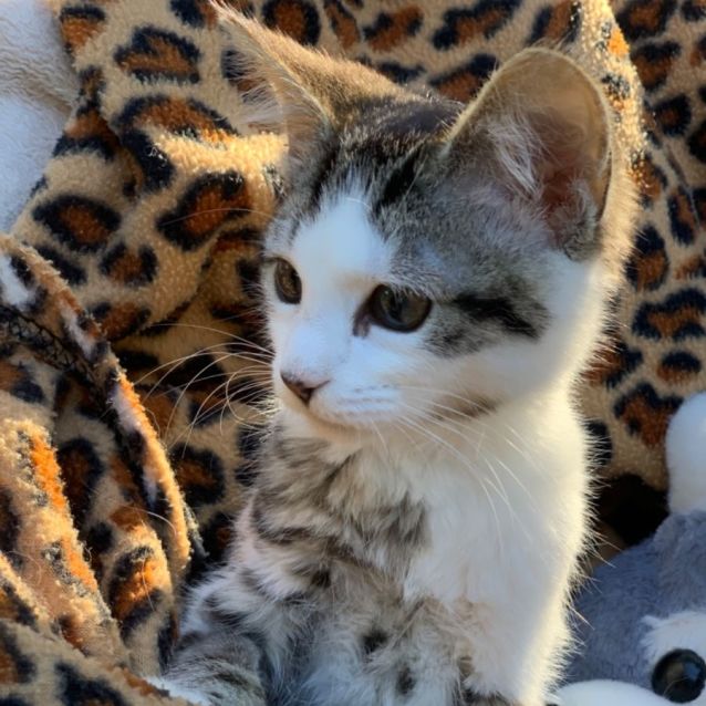 Photo of Mia 🩷🩷🩷🩷🩷🩷