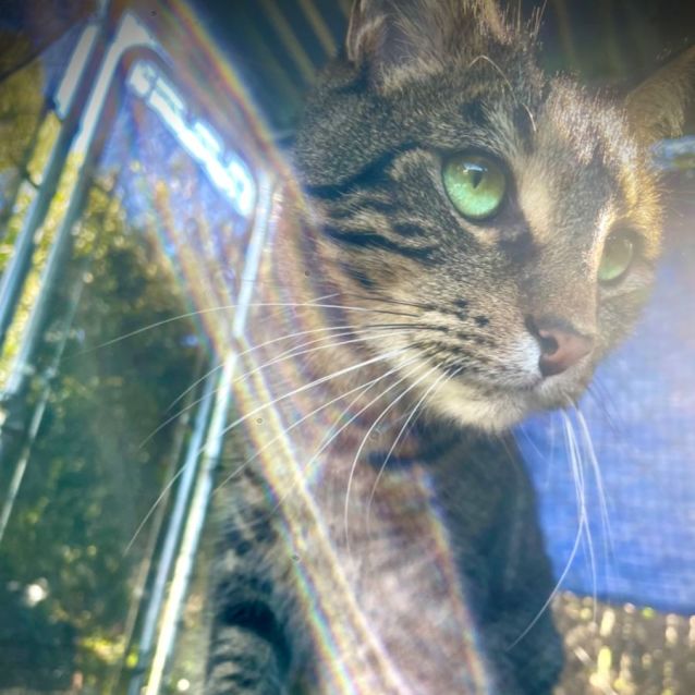 Photo of Reggie