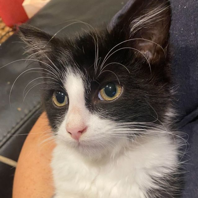 Photo of Murphy