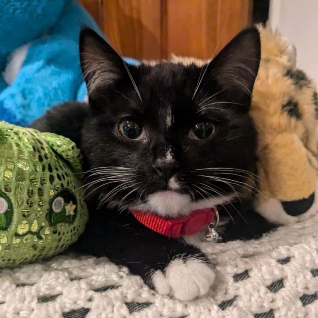 Photo of Violet 🌷