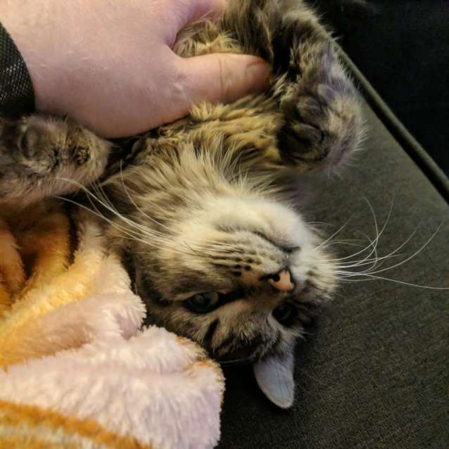 Photo of Harriet ✨