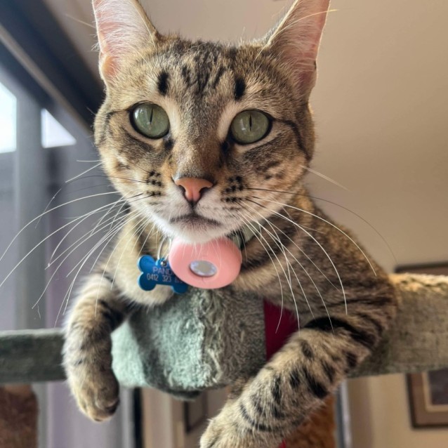 Photo of Sweet Heart