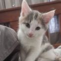 Photo of Zara