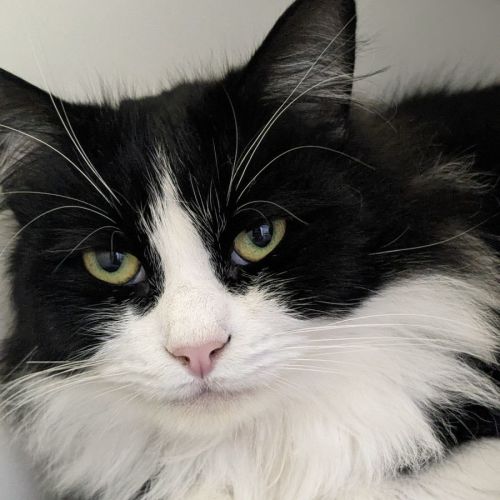 🏝 Stitch 5075 🏝