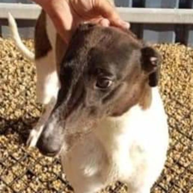 Photo of Little Miss Sunshine