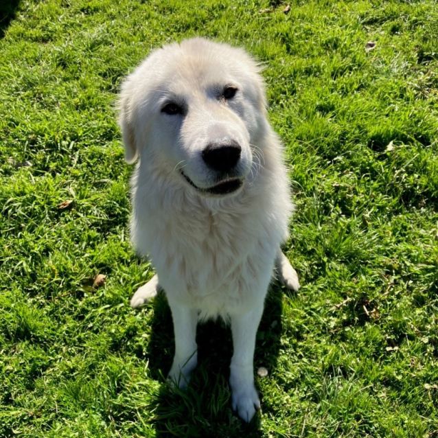 Photo of Sammy