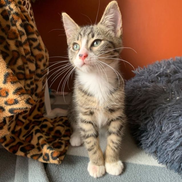 Photo of Ted🧸💙🧸