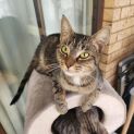 Photo of Bug
