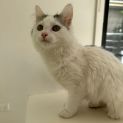 Photo of Nurut