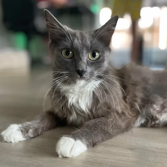 Photo of Haven (Located In South Morang)