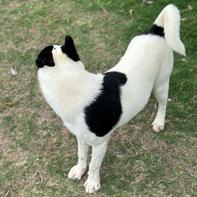 Photo of Muppet 5534