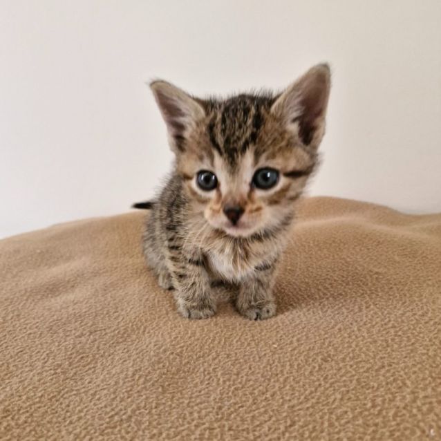 Photo of C1324 Winnie