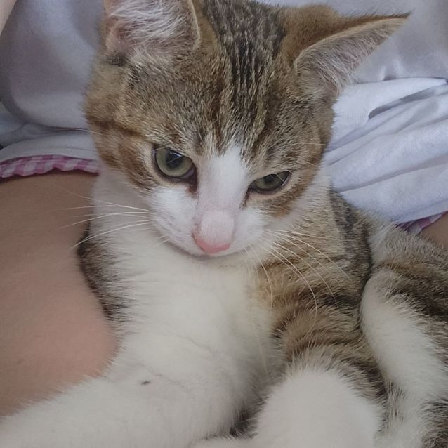 Photo of Squish And Shadow