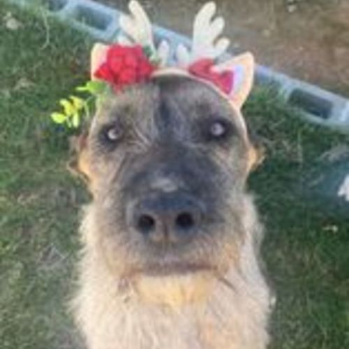 Lola