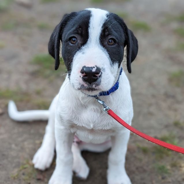 Photo of Murphy