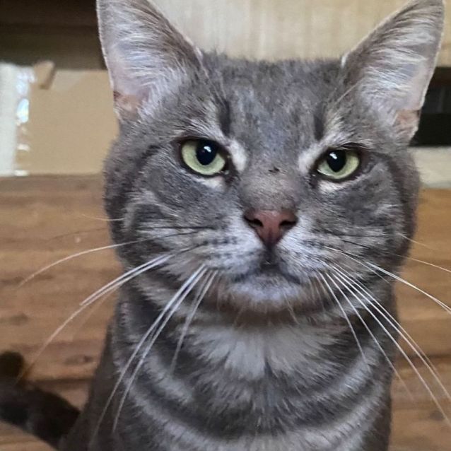 Photo of Smokie