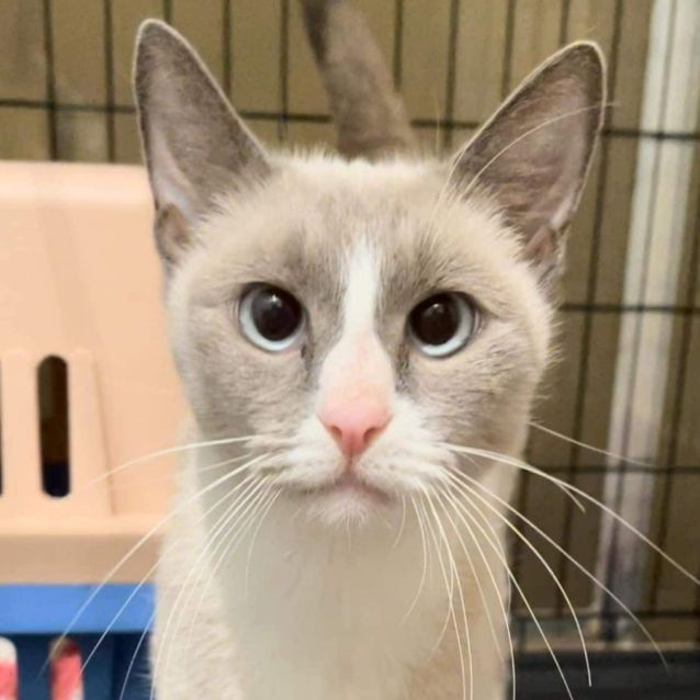 Photo of Tinkerbell