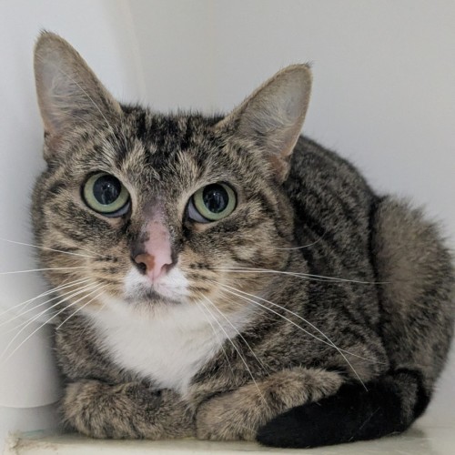 No photo for 🎊 Martha May 6710 🎊