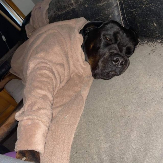 Photo of Tyson ** Adorable Boy **