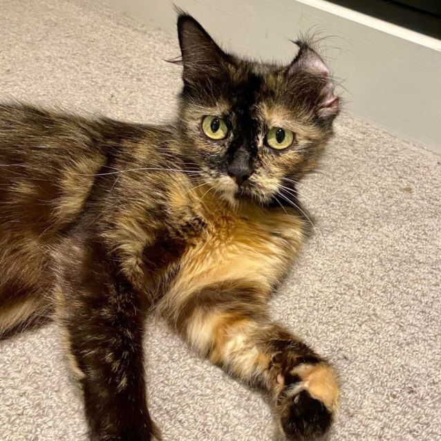 Photo of Tui (Located In Docklands)