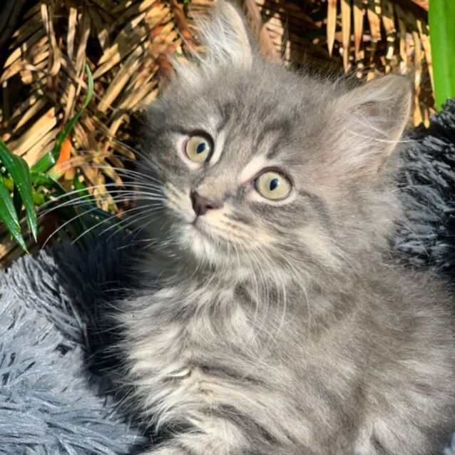 Photo of Millie💕💕💕