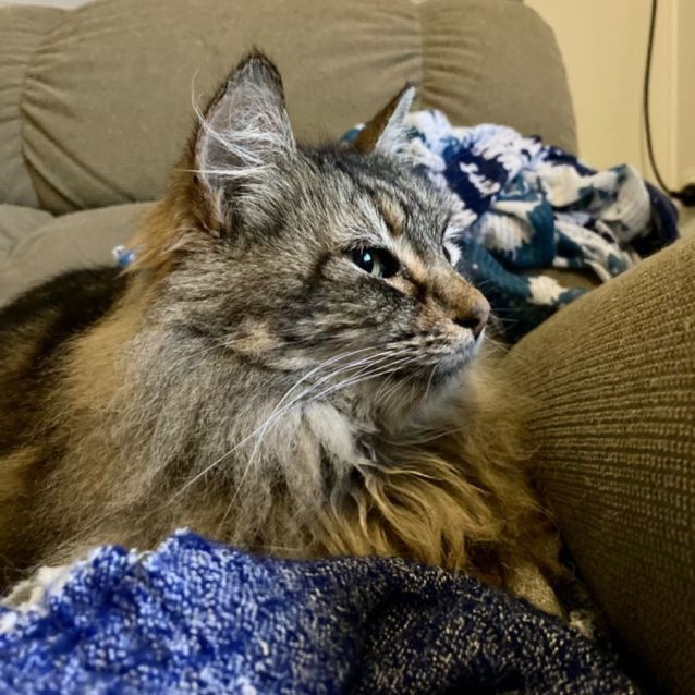 Photo of Peggy