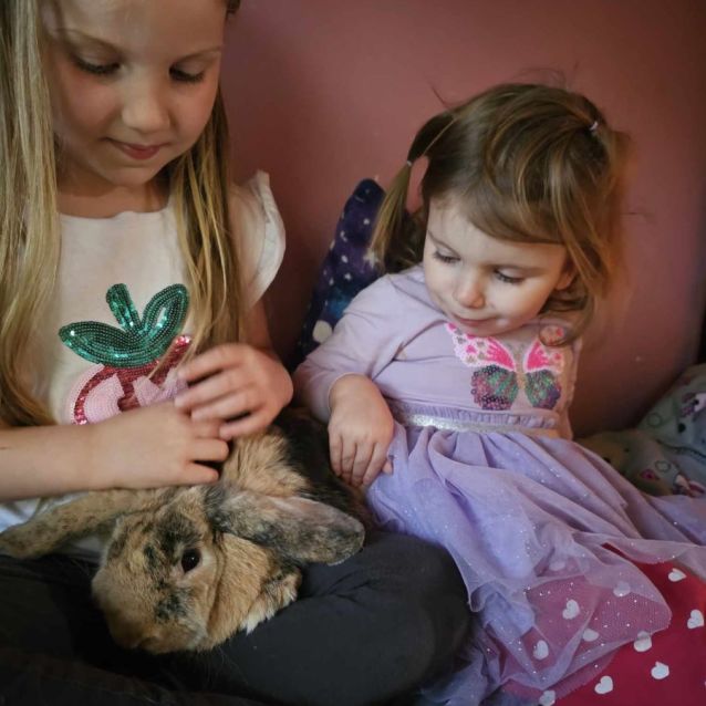 Photo of Mrs Claws (Located In Mount Evelyn)