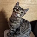Photo of Sprite