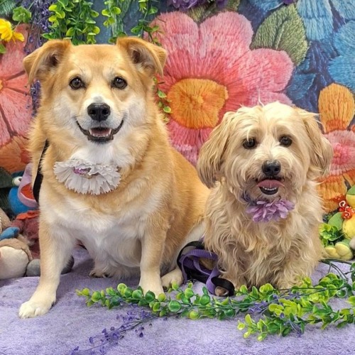 Candy & Zoey