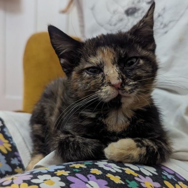 Photo of Maggie