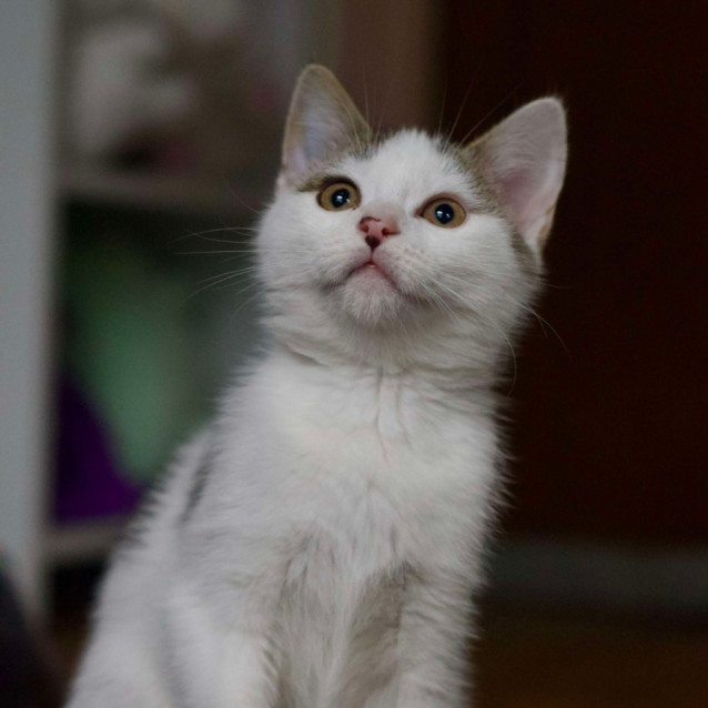 Photo of 💖 Eve 💖