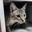 Photo of Penny