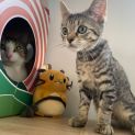 Photo of Mimi