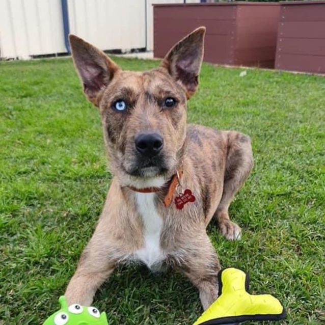 Photo of Milo Dl2654